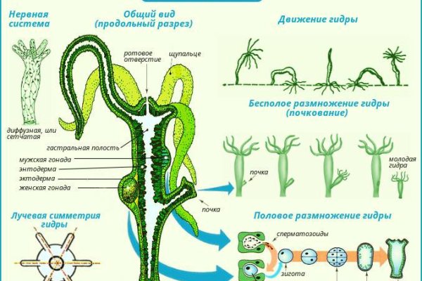 Кракен сайт официальный kraken clear com