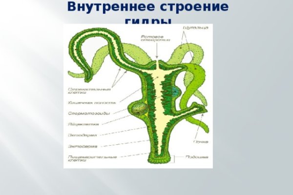 Кракен как зарегистрироваться