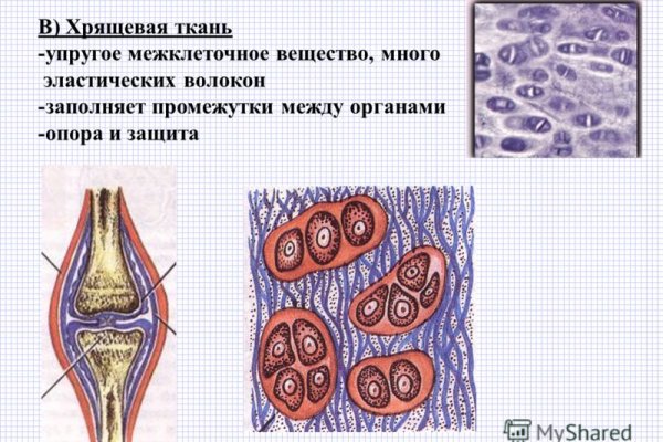 Войти даркнет