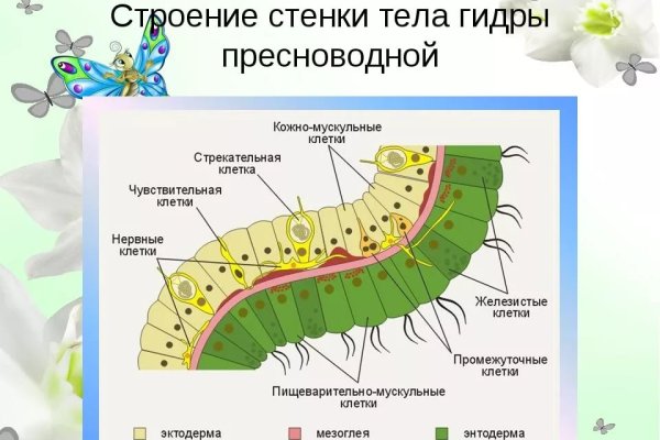 Сайт кракена в торе