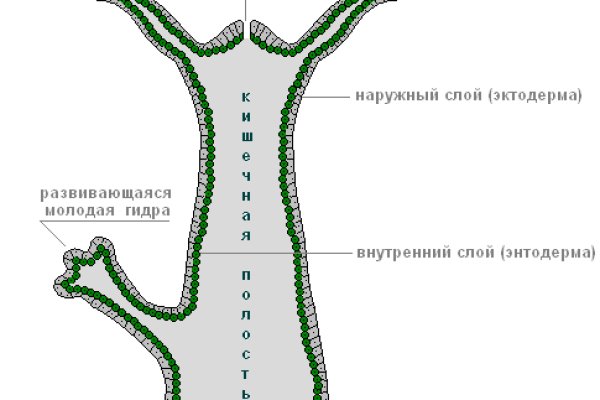 Кракен маркет онион